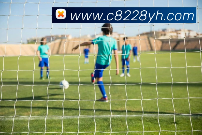 未来规划